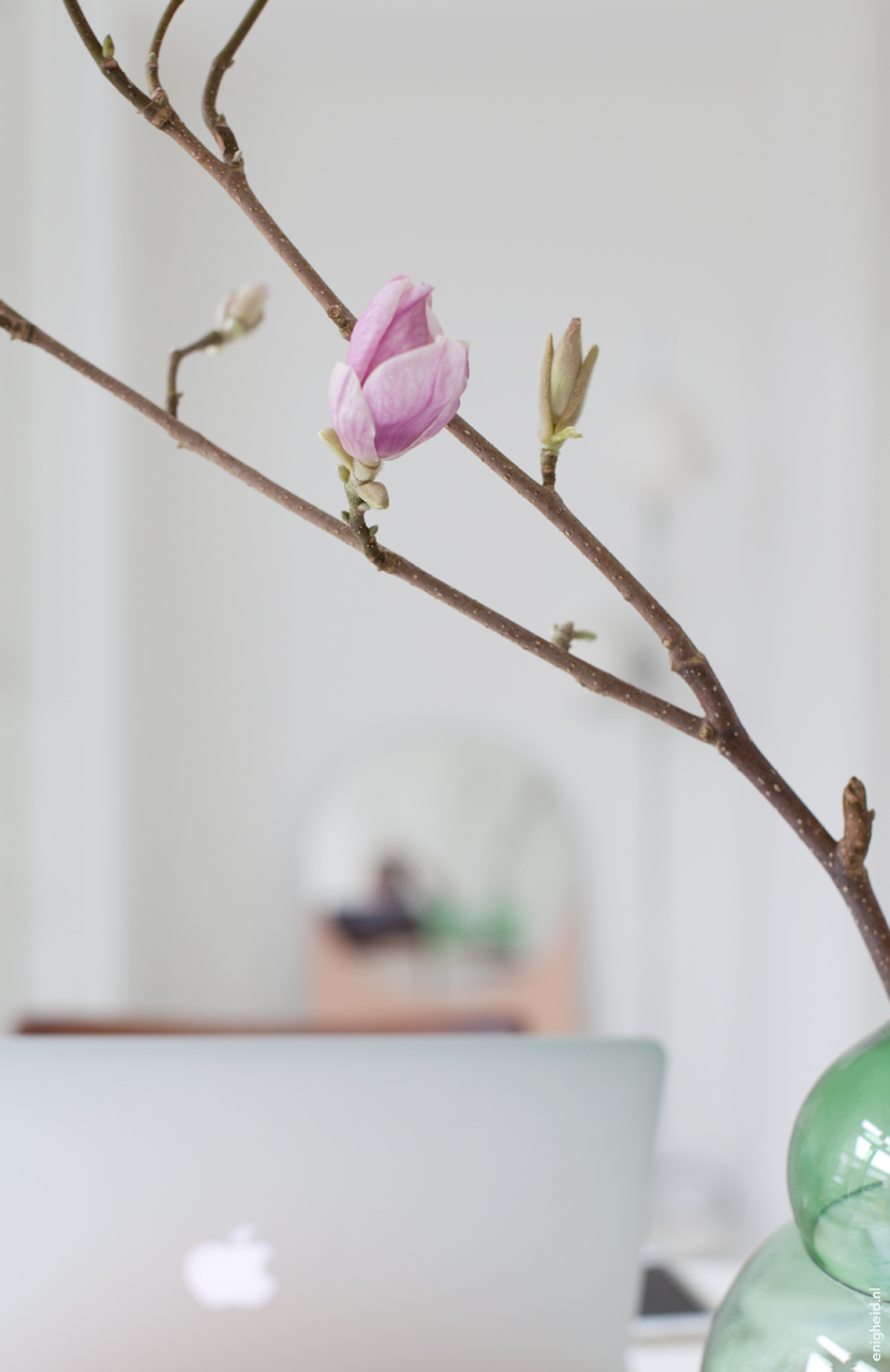 Magnolia, Klaas Kuiken vase | Enigheid