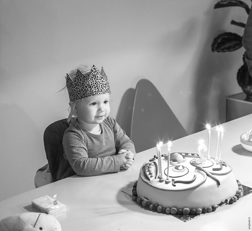 Maan's birthday, Suussies crown, owl cake | Enigheid