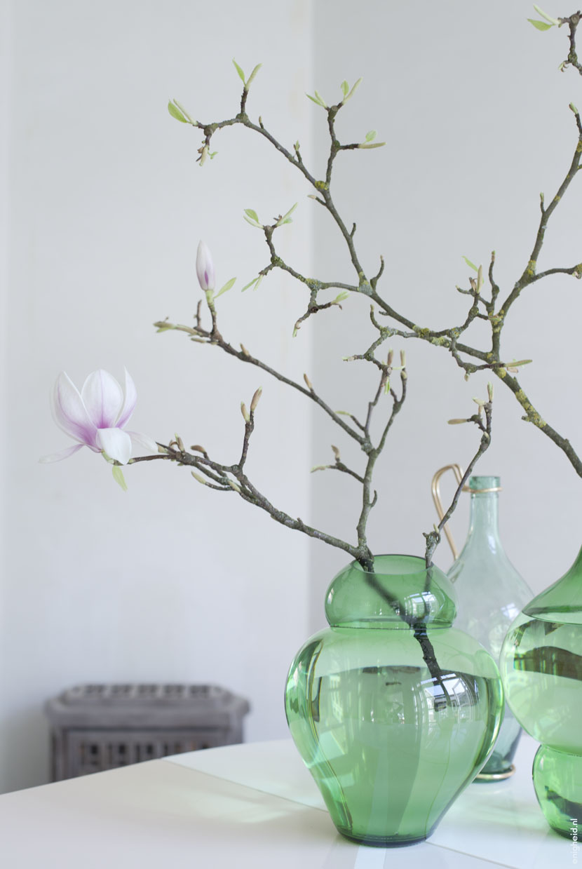 230314 magnolia 2