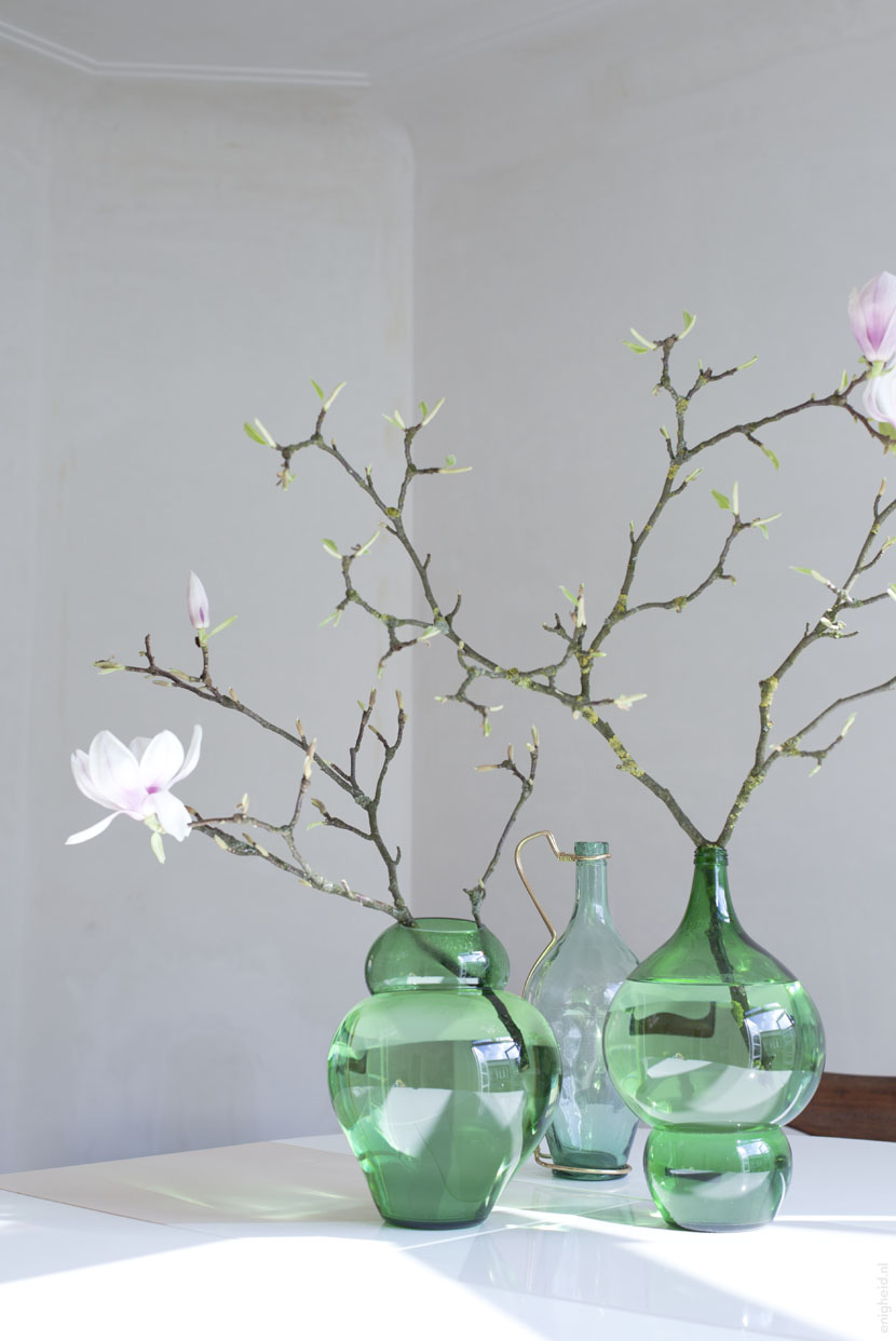 230314 magnolia 4