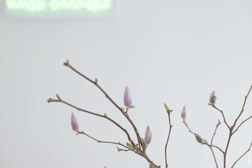Magnolia, Just breathe neon | Enigheid