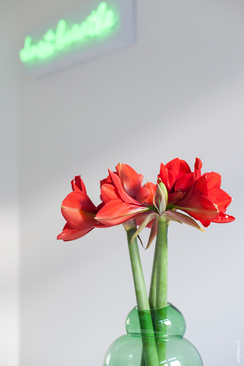 Flowers, Klaas Kuiken vase | Enigheid
