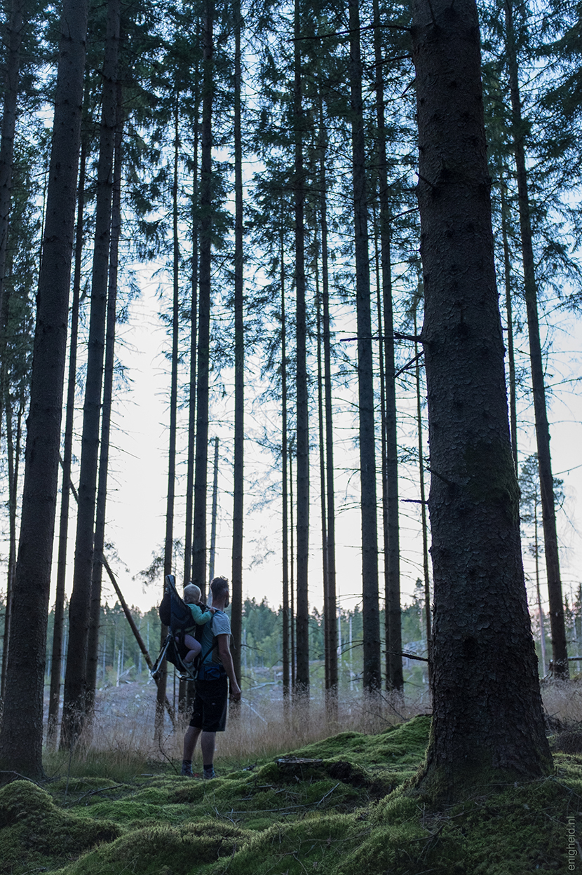 Maan and papa in a Swedish forest | Enigheid