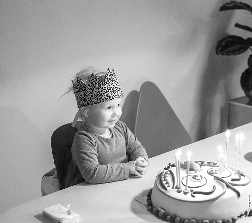 Maan's birthday, Suussies crown, owl cake | Enigheid