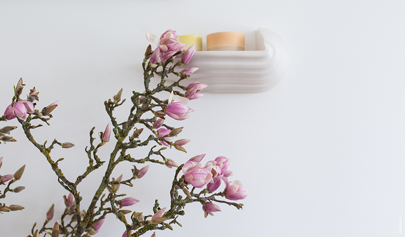 Huge magnolia branch with flowers in my living room. The console is a Boschroom designed by David Derksen, with Scholten and Baijings Arita 1616 ceramics on top of it | Enigheid