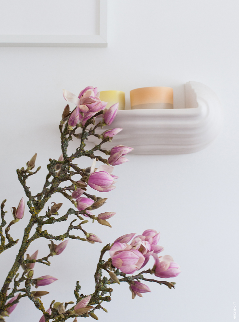 Huge magnolia branch with flowers in my living room. The console is a Boschroom designed by David Derksen, with Scholten and Baijings Arita 1616 ceramics on top of it | Enigheid